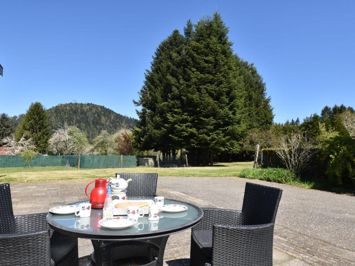 Spacious Holiday Home With Sauna In Celles Sur Plaine エーグイスハイム 部屋 写真