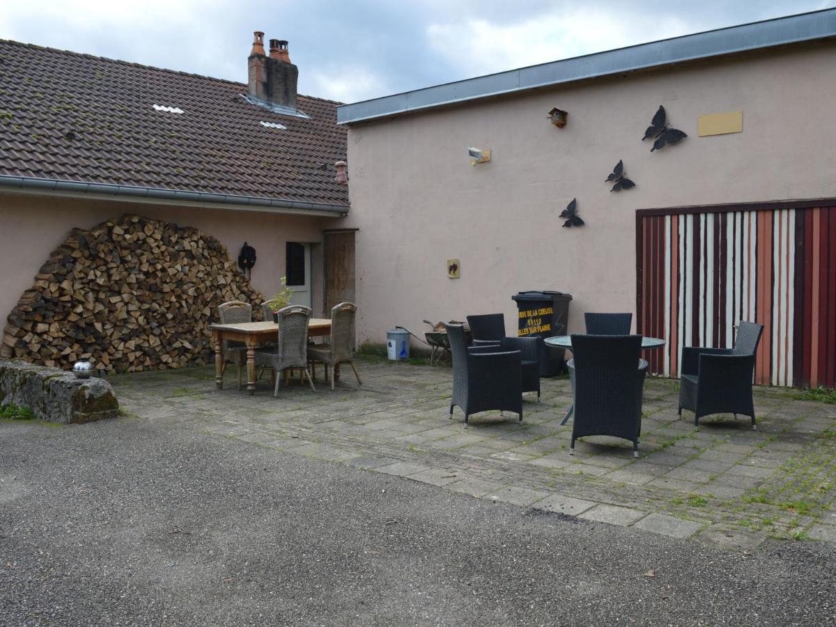 Spacious Holiday Home With Sauna In Celles Sur Plaine エーグイスハイム 部屋 写真