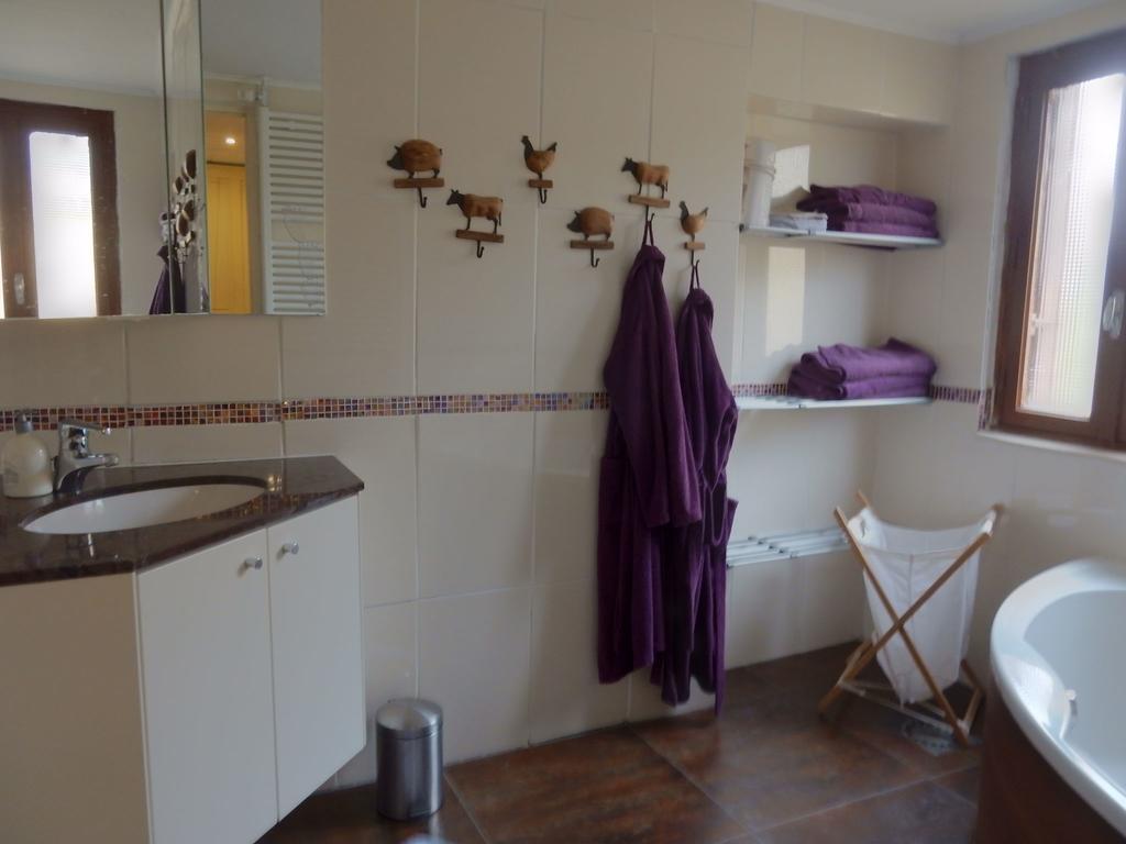 Spacious Holiday Home With Sauna In Celles Sur Plaine エーグイスハイム エクステリア 写真