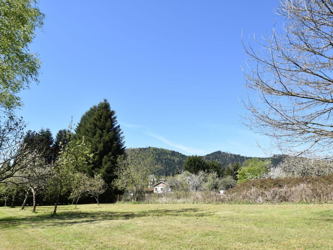 Spacious Holiday Home With Sauna In Celles Sur Plaine エーグイスハイム エクステリア 写真